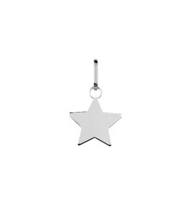 Pendentif étoile RMP76(G,R)